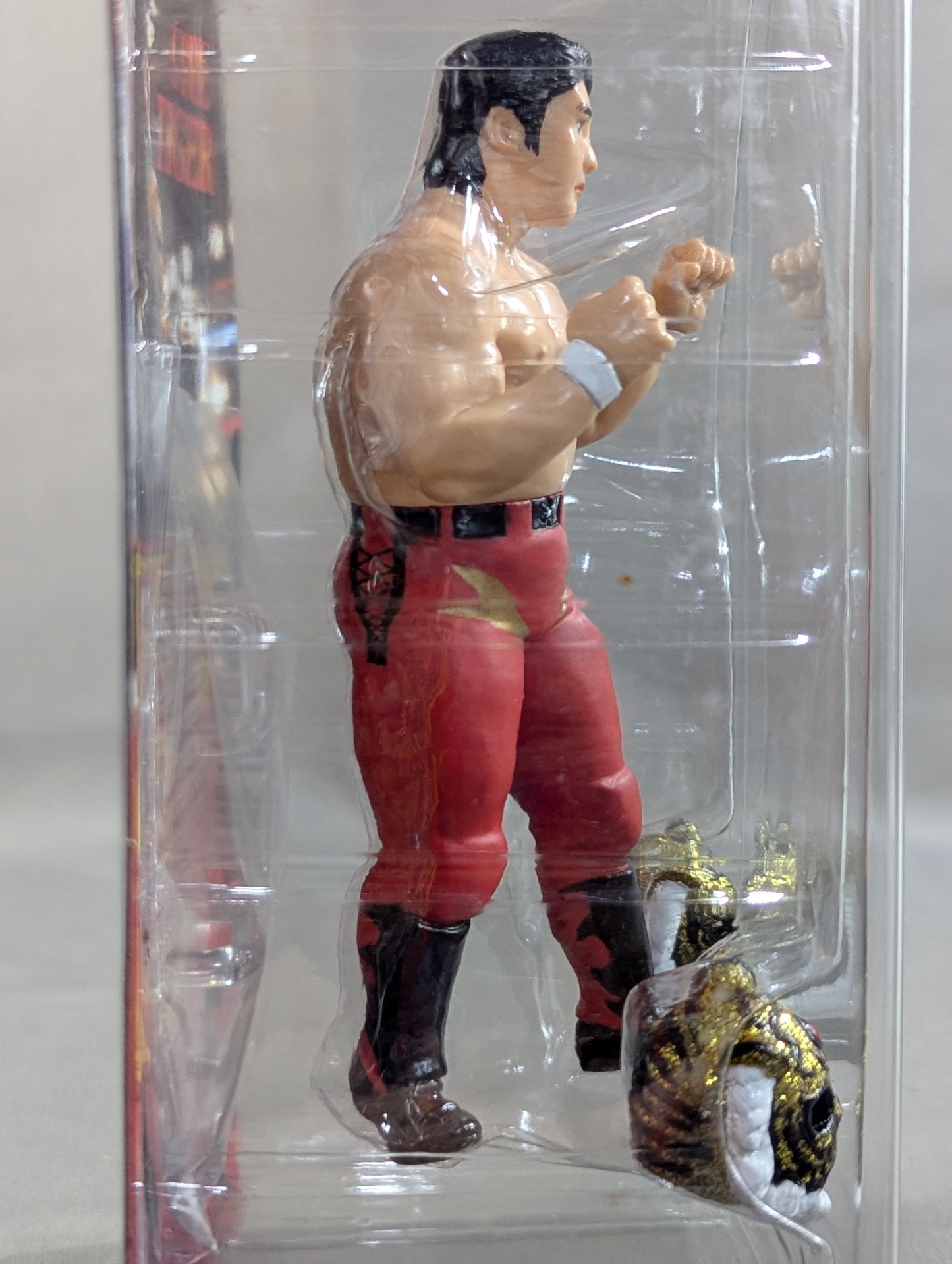 Satoru Sayama  (Super Tiger & The Tiger)