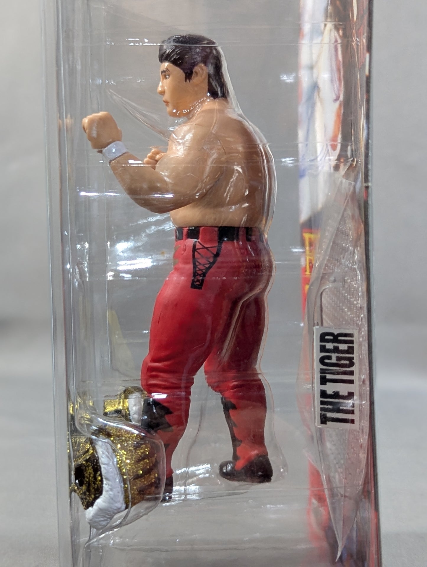 Satoru Sayama  (Super Tiger & The Tiger)