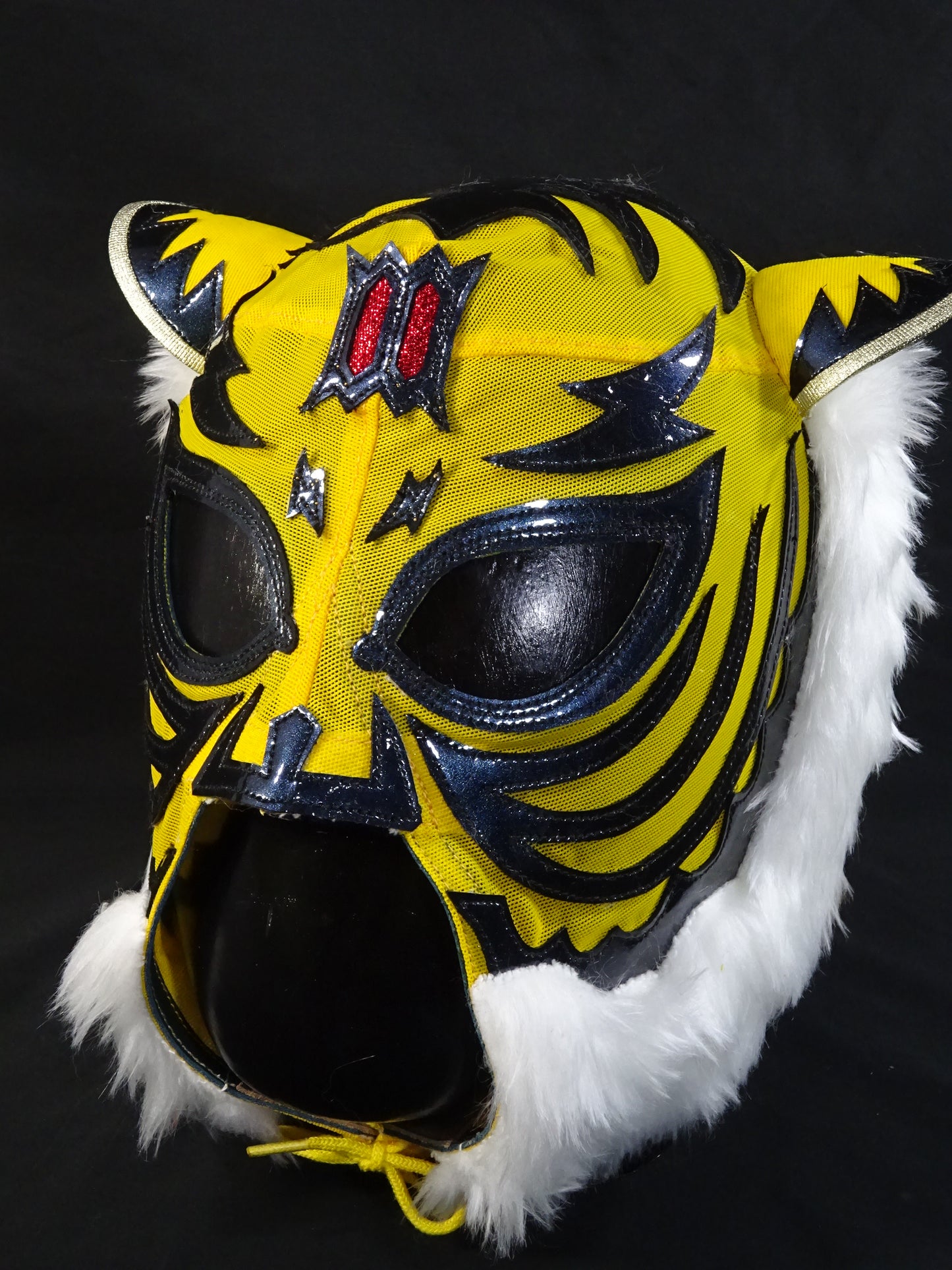 The first Tiger Mask
