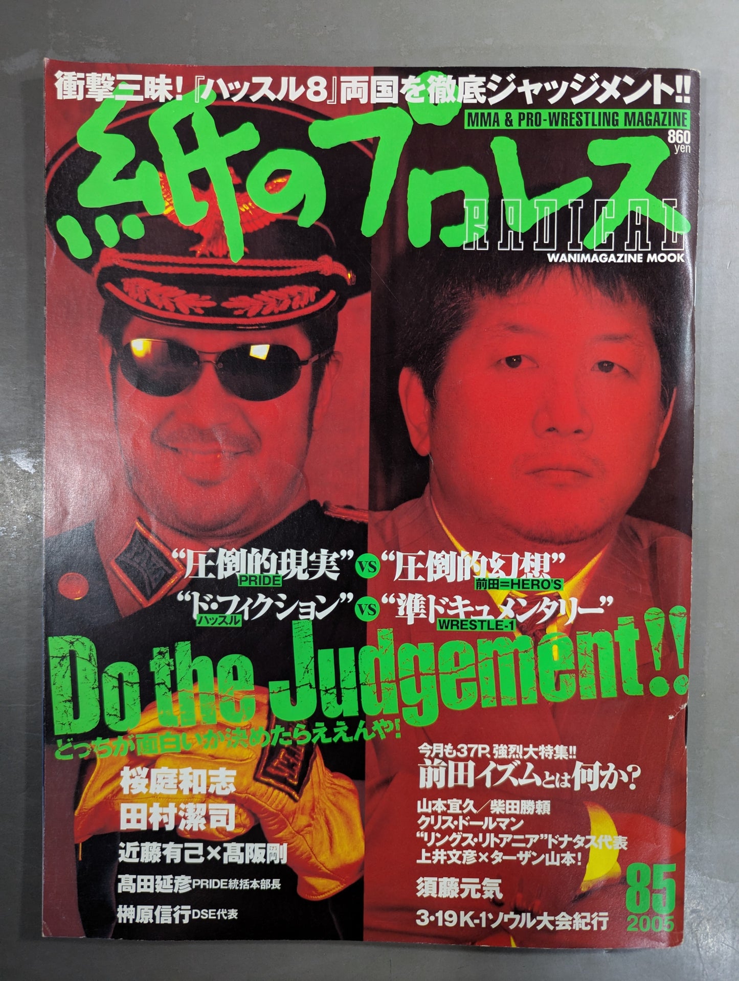 paper Pro Wrestling RADICAL85