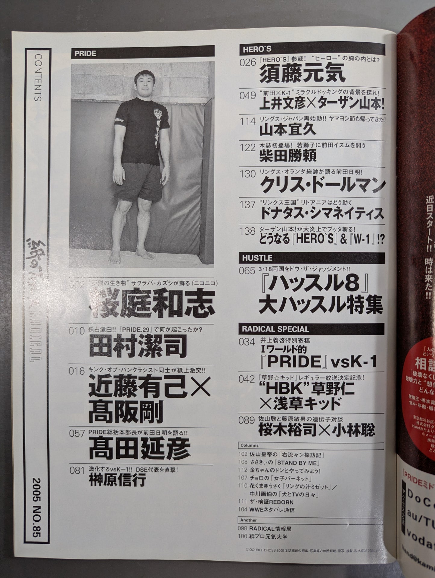paper Pro Wrestling RADICAL85