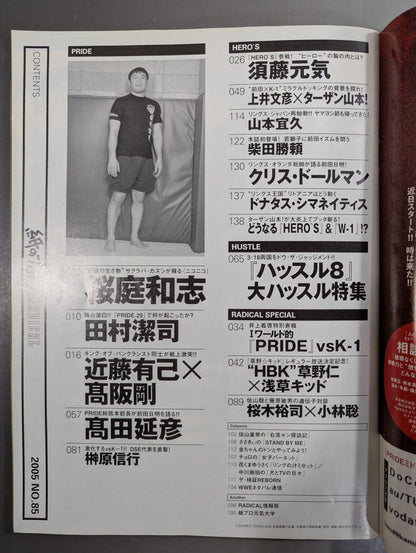 paper Pro Wrestling RADICAL85