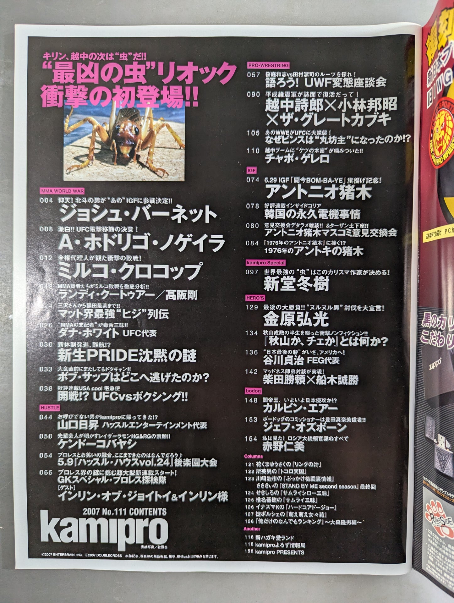 Paper Pro Wrestling RADICAL111