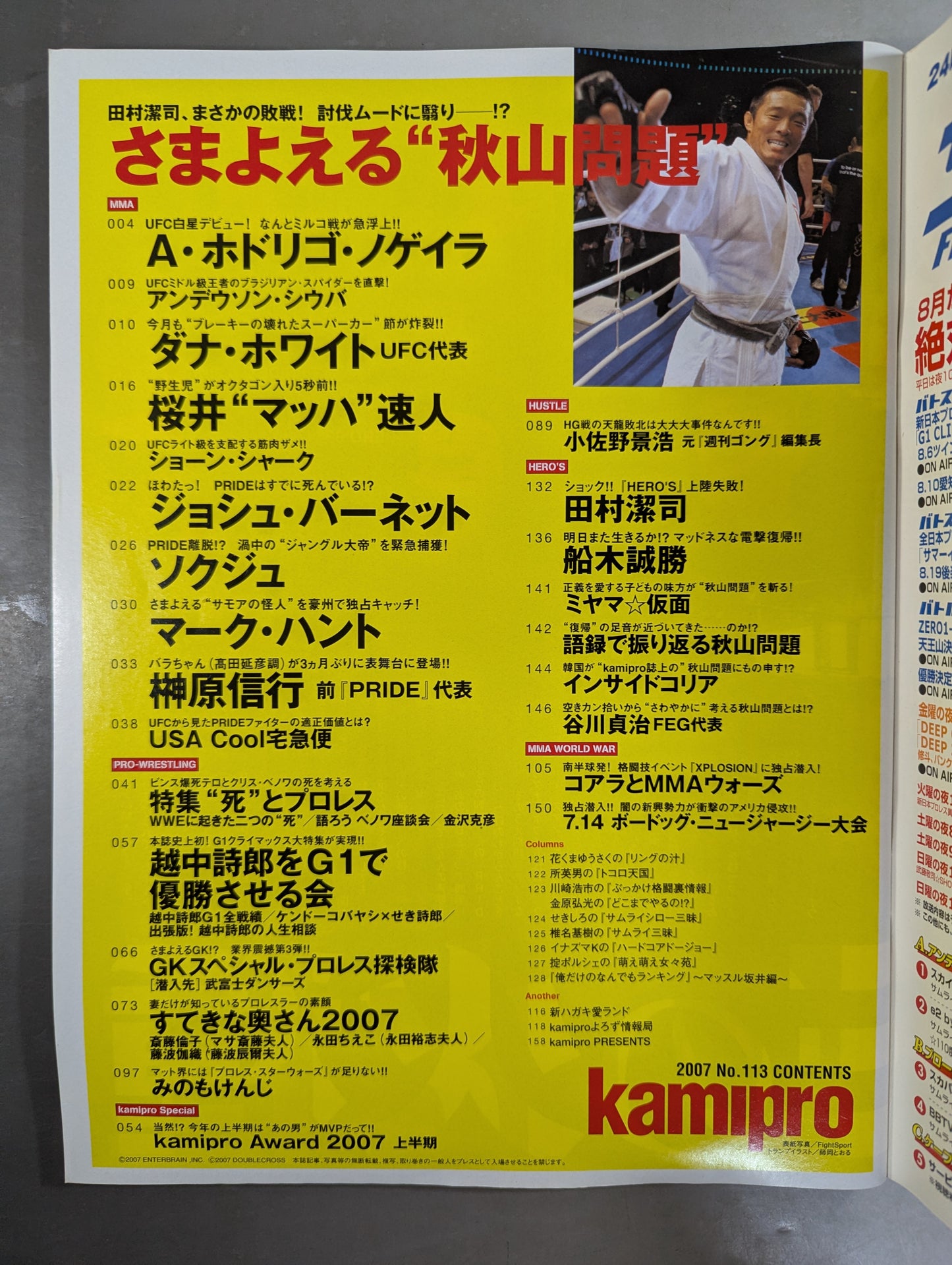 paper Pro Wrestling RADICAL113