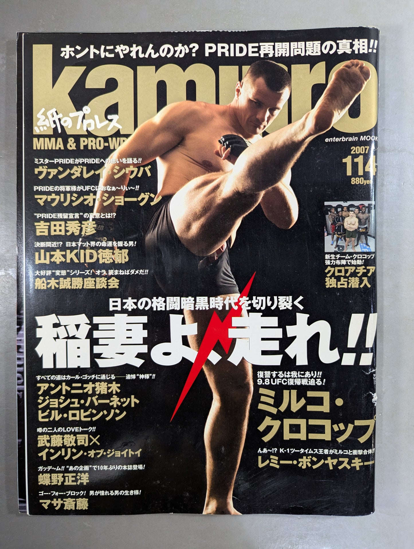 paper Pro Wrestling RADICAL114
