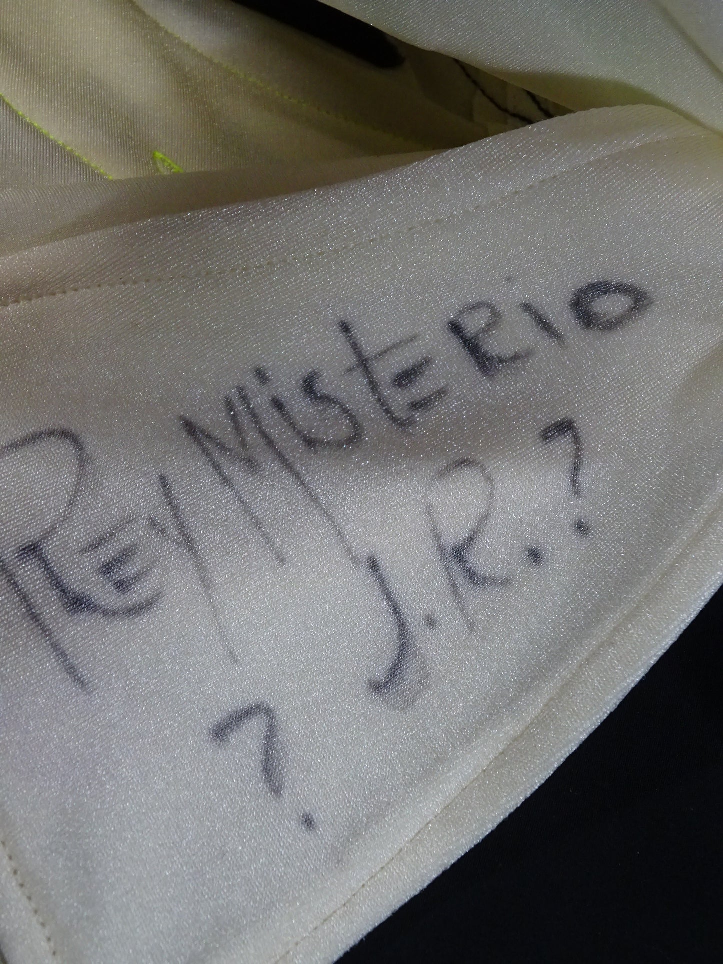 Rey Mysterio Jr.