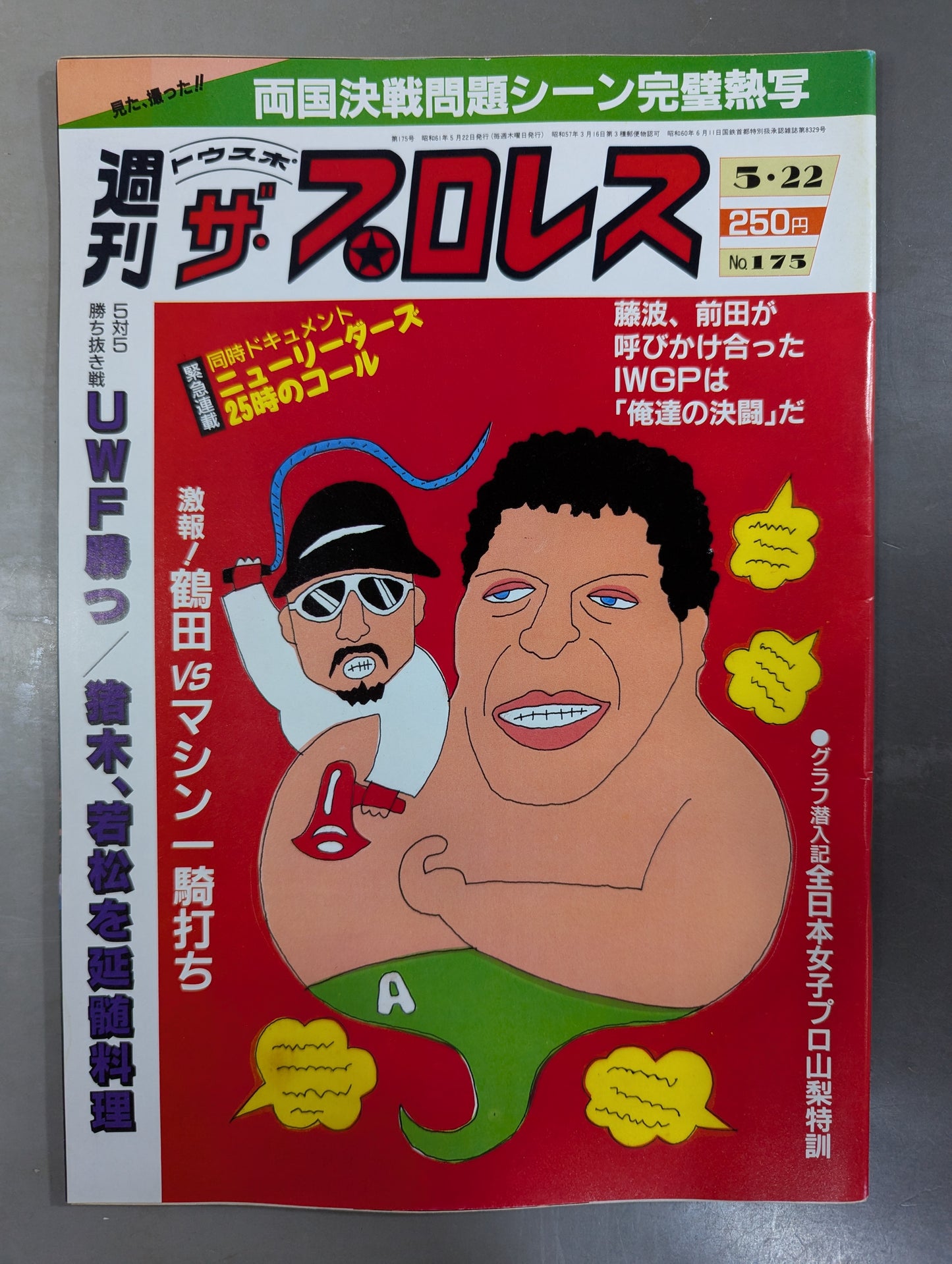 週刊ザ・プロレス175