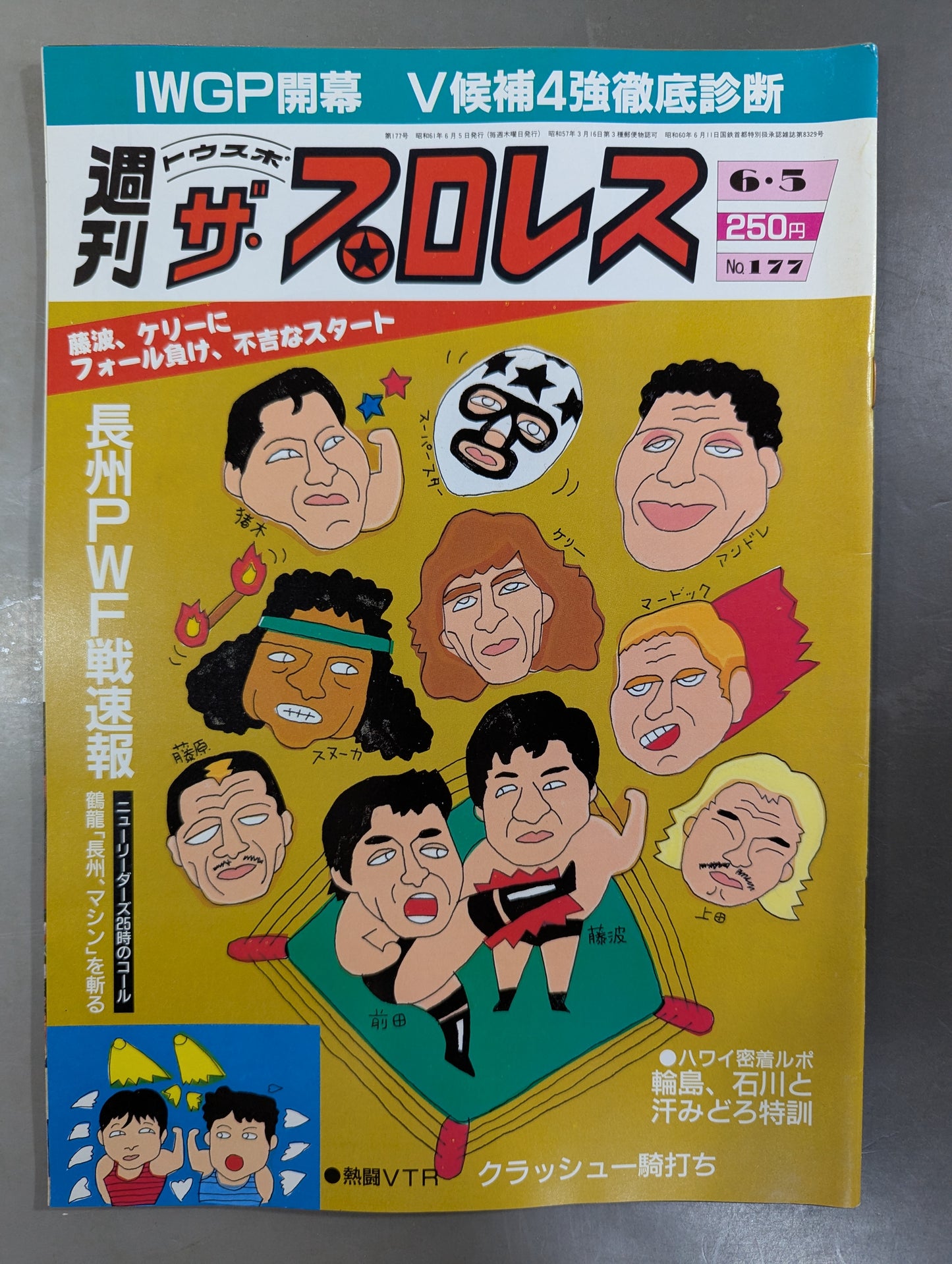 週刊ザ・プロレス177