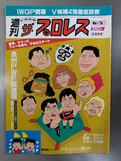 週刊ザ・プロレス177