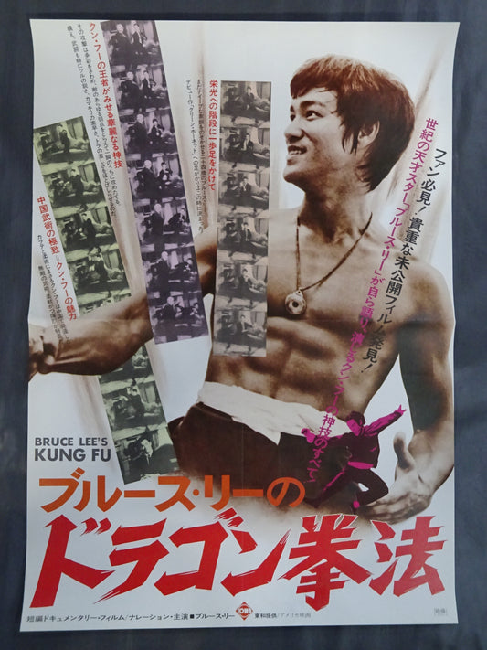 Bruce Lee's Dragon Fist