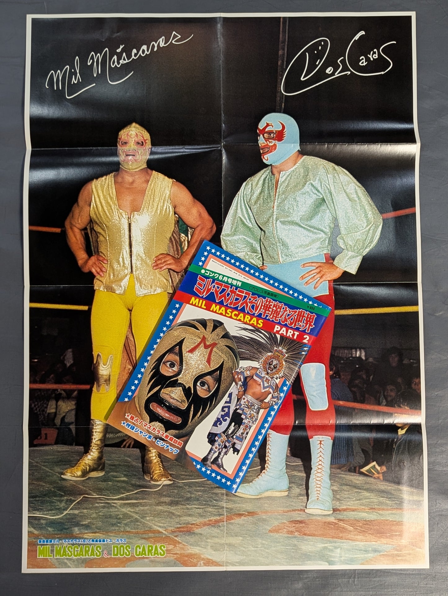 Mil Mascaras  The Brilliant World PART 2