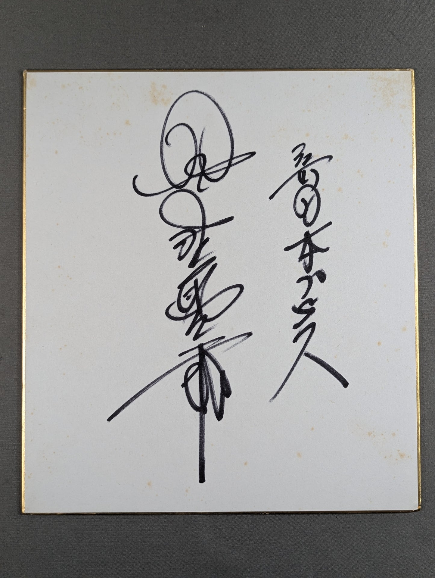 星野勘太郎