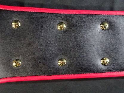PWF Heavyweight Championship Belt