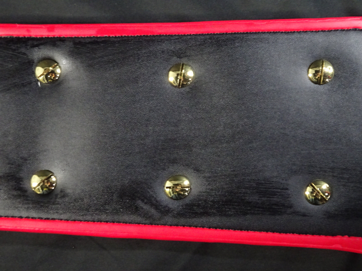 PWF Heavyweight Championship Belt