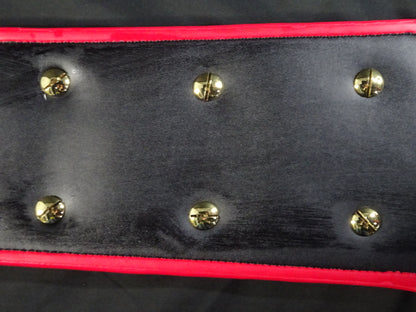 PWF Heavyweight Championship Belt