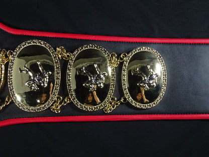 PWF Heavyweight Championship Belt