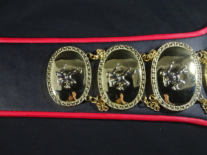 PWF Heavyweight Championship Belt