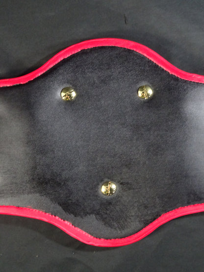 PWF Heavyweight Championship Belt