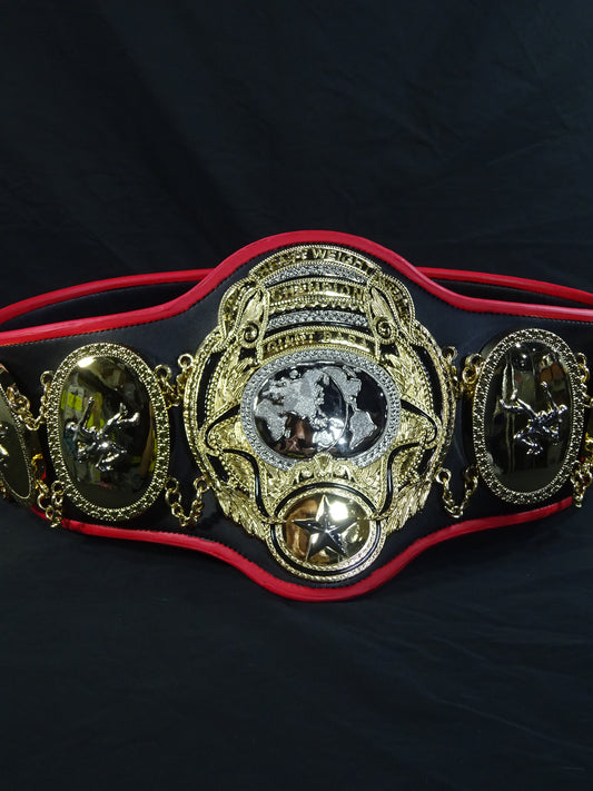 PWFヘビー級王座チャンピオンベルト