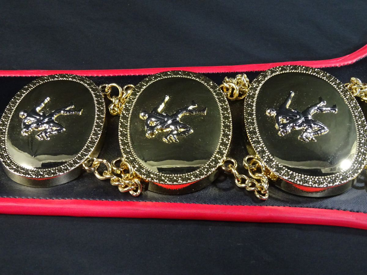 PWF Heavyweight Championship Belt