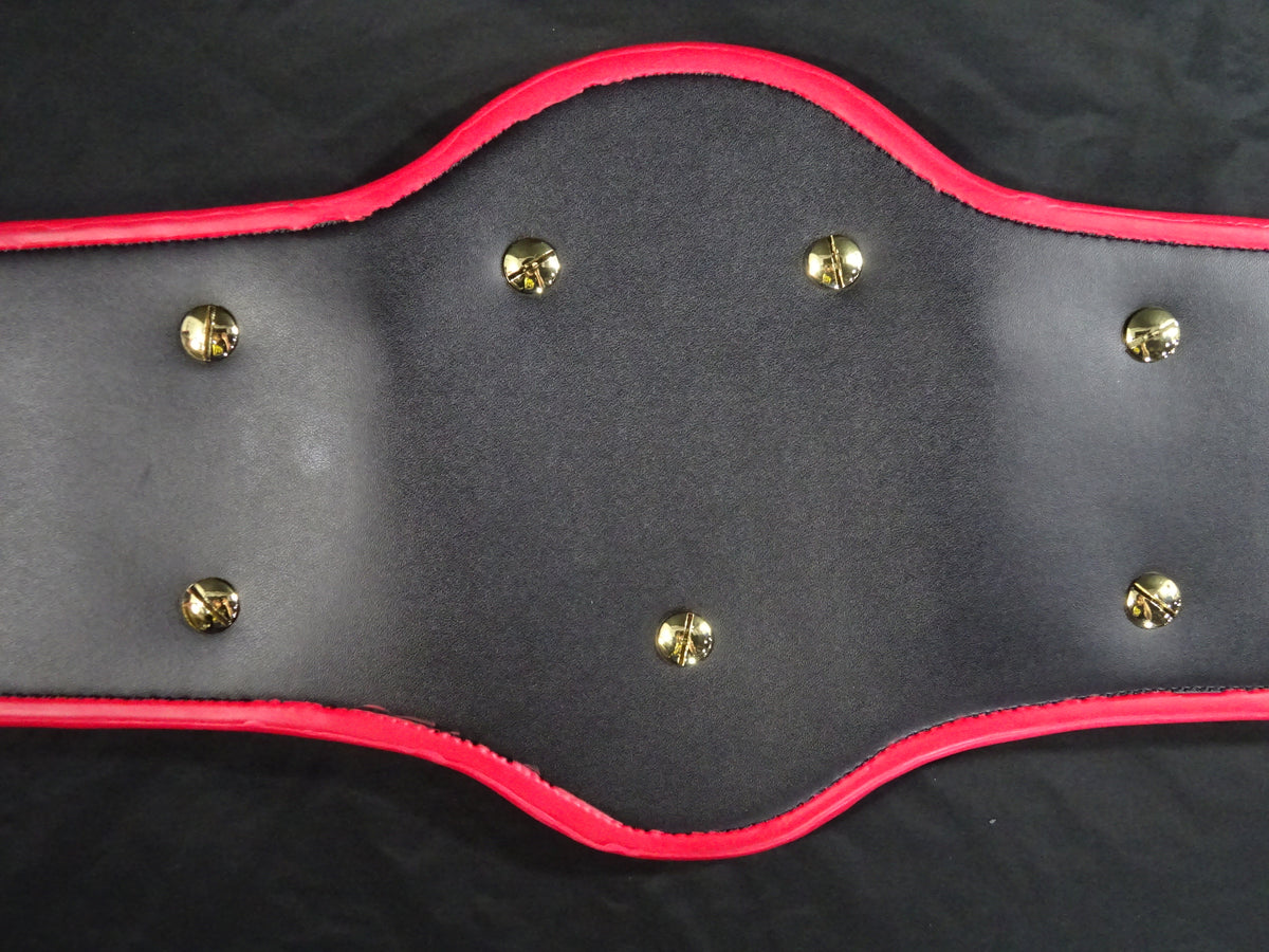 PWF Heavyweight Championship Belt