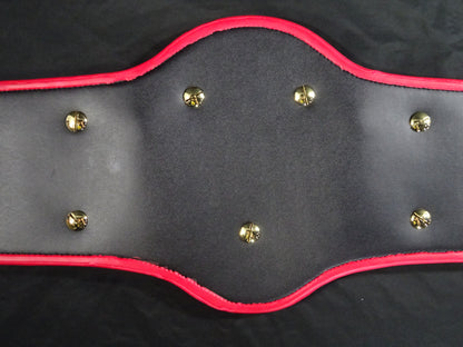 PWF Heavyweight Championship Belt
