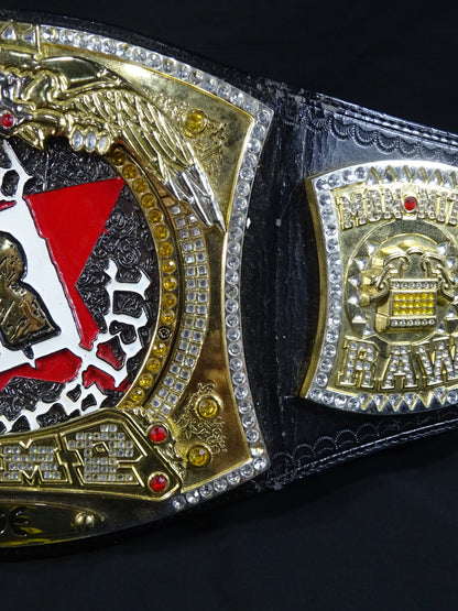 WWE Championship Belt (RATED-R, Spinner Type)