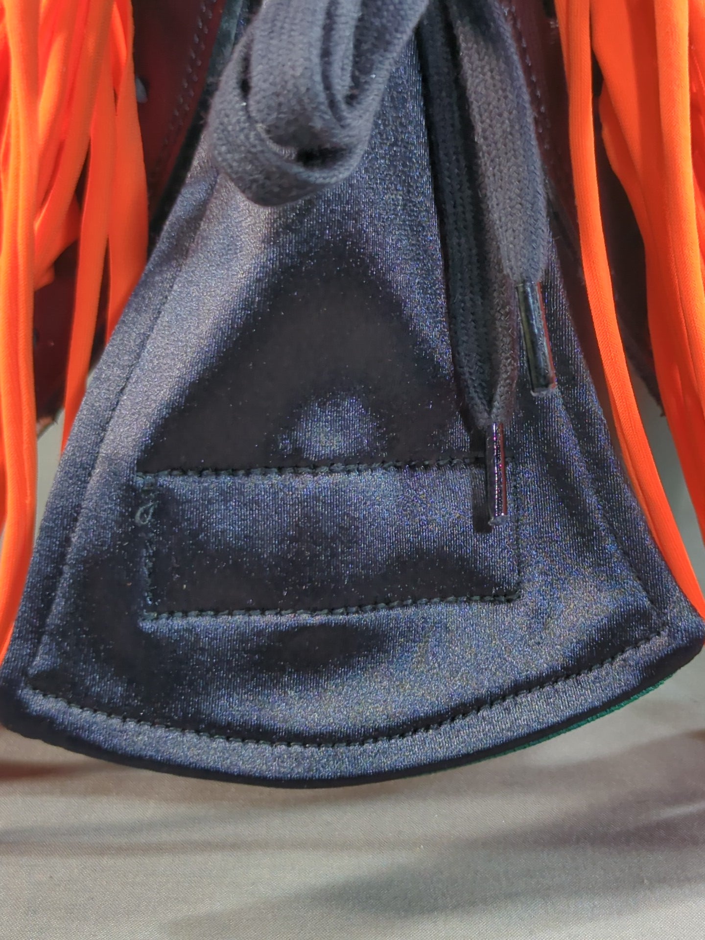 Black dog