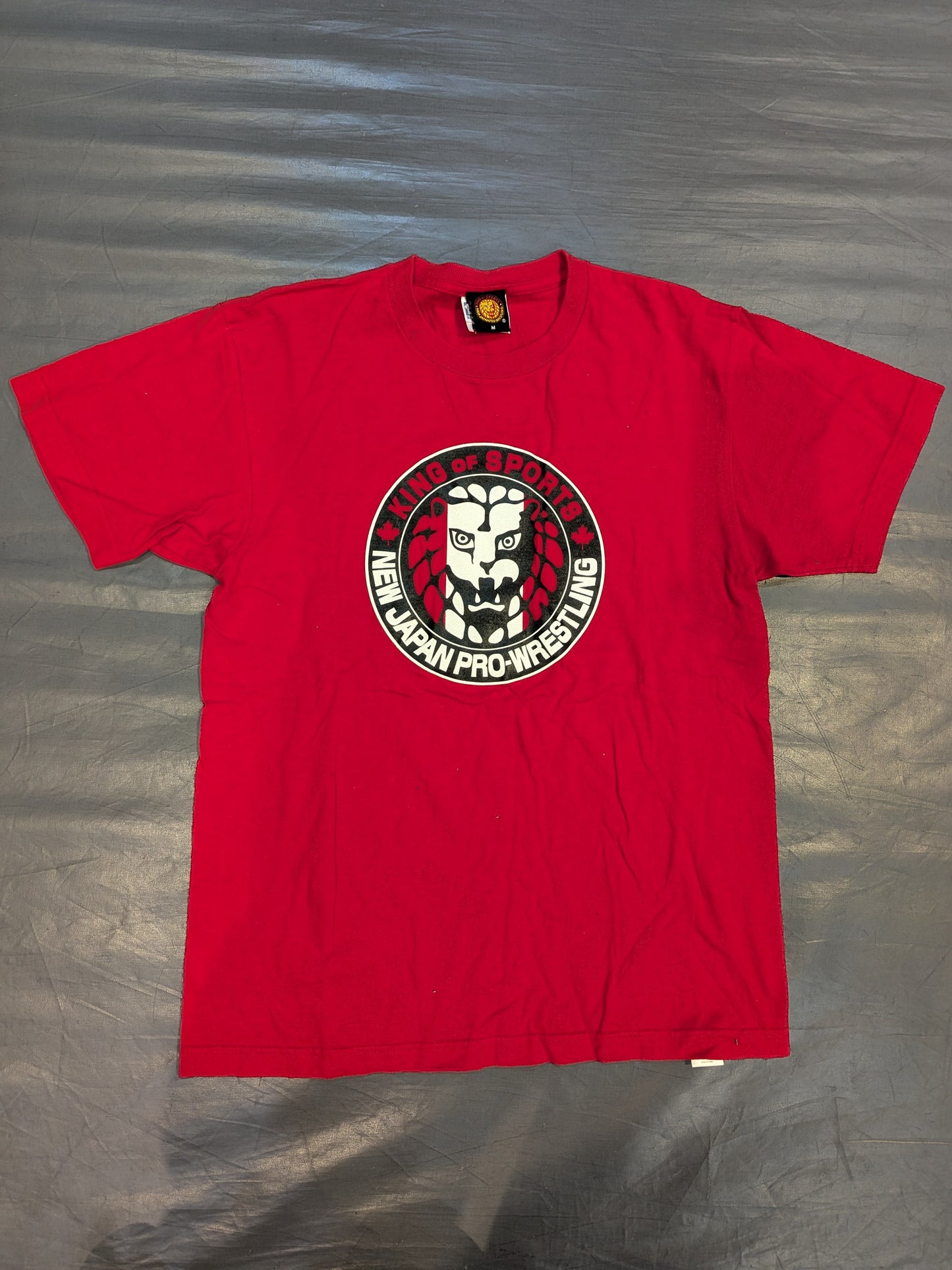 ライオンマーク「CANADA」Tシャツ②