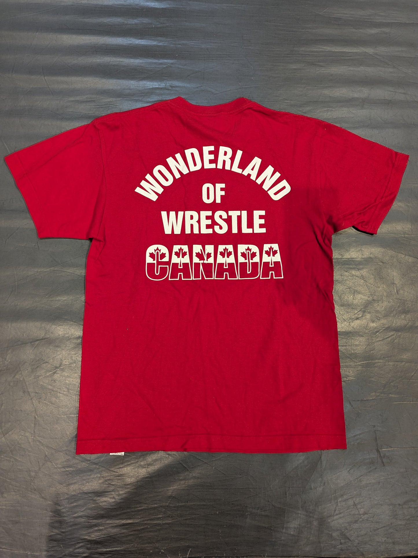 ライオンマーク「CANADA」Tシャツ②