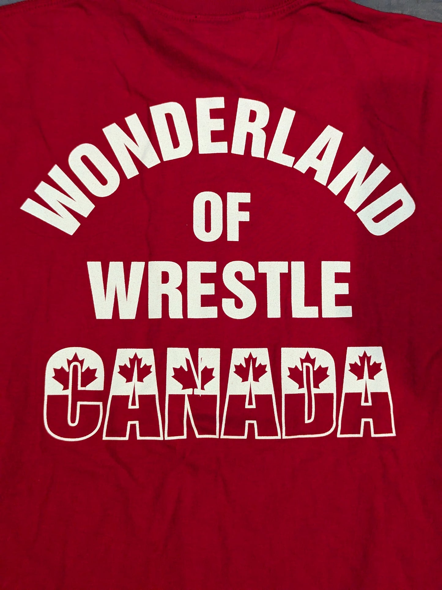 ライオンマーク「CANADA」Tシャツ②