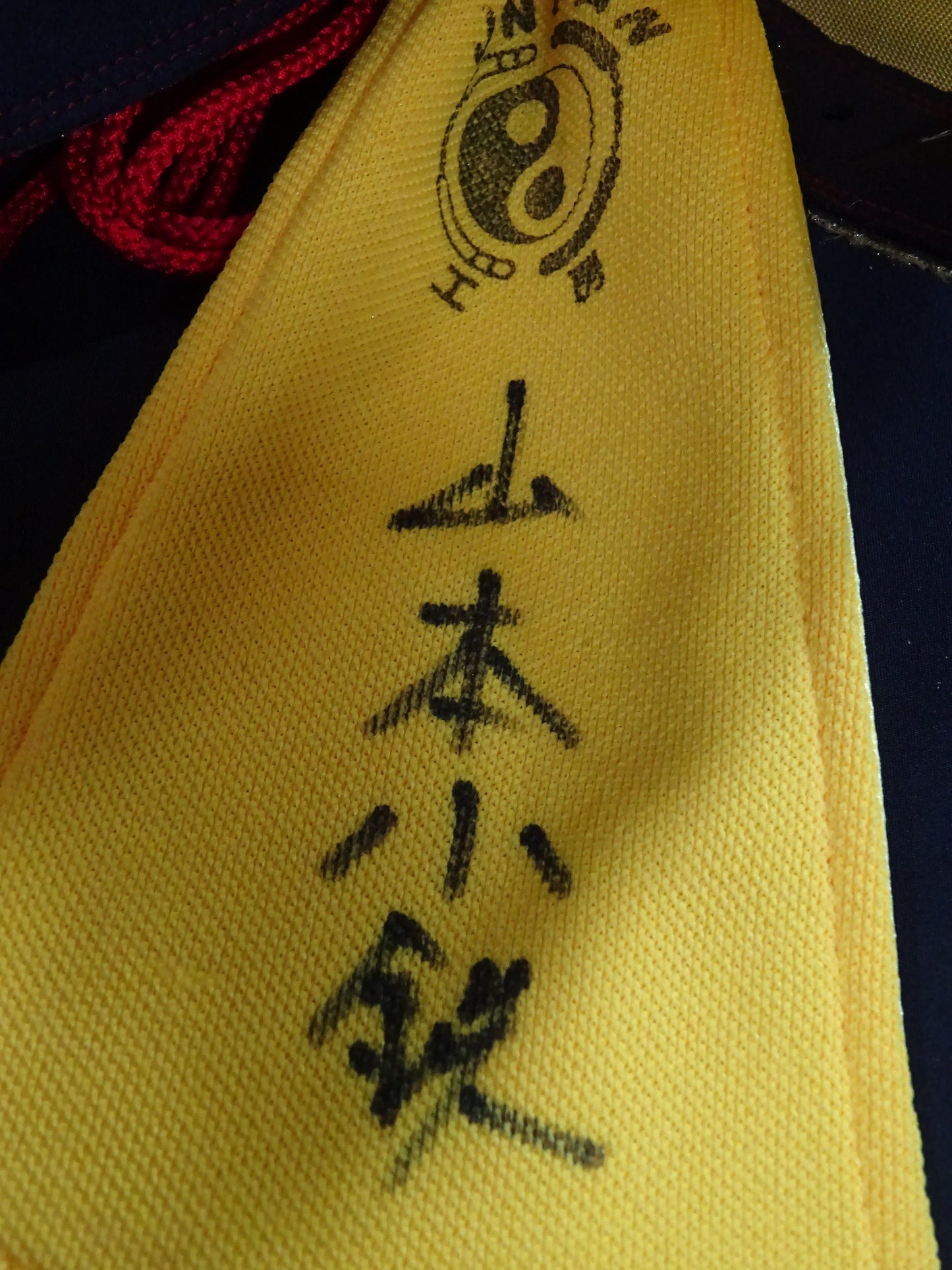 Kotetsu Yamamoto 