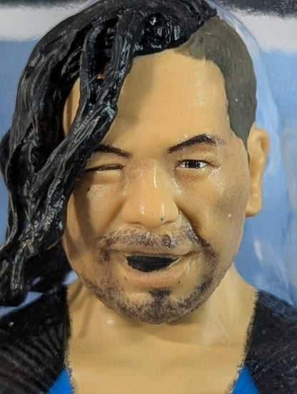 Shinsuke Nakamura  (blue costume)