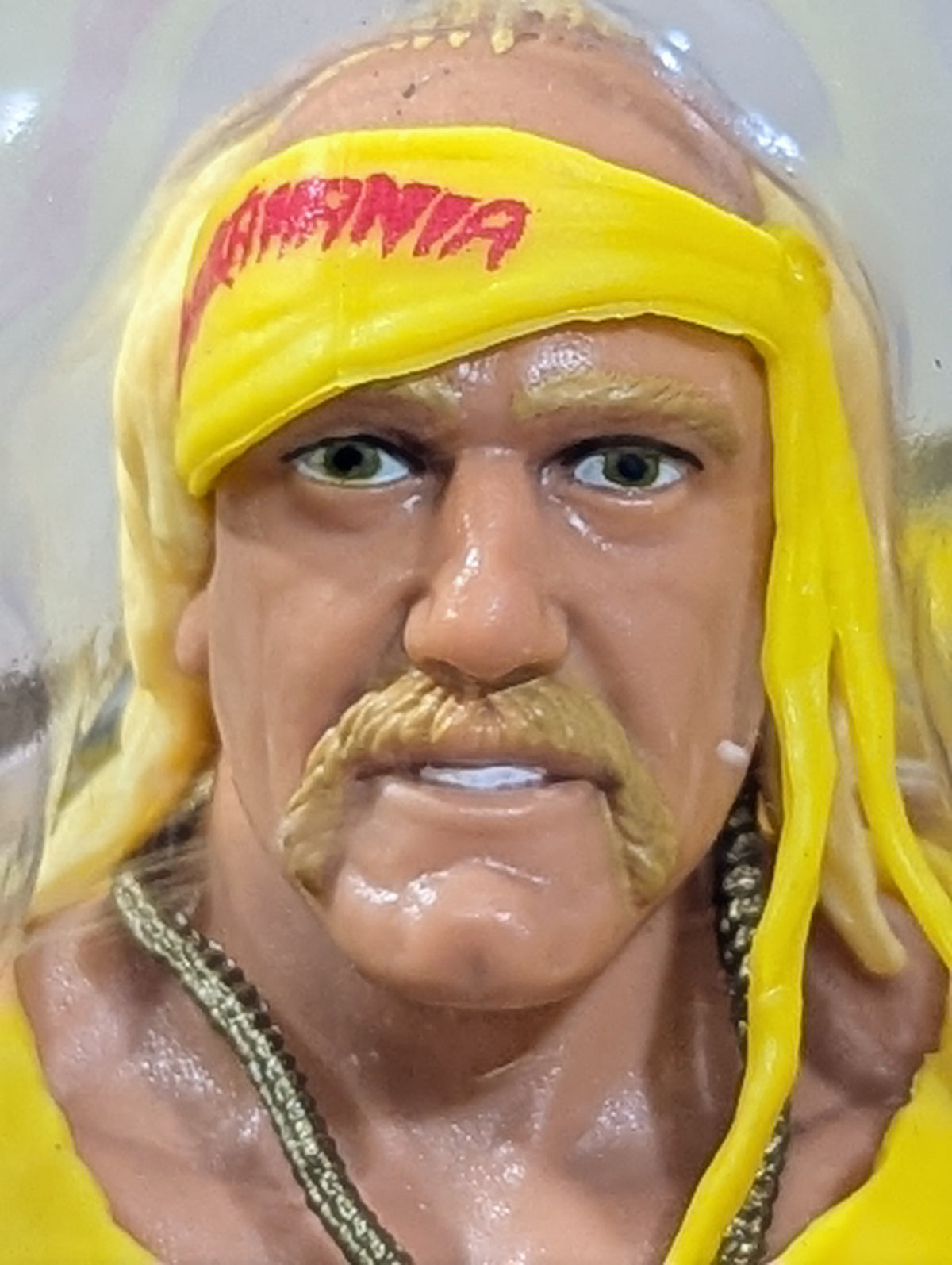 Hulk Hogan 