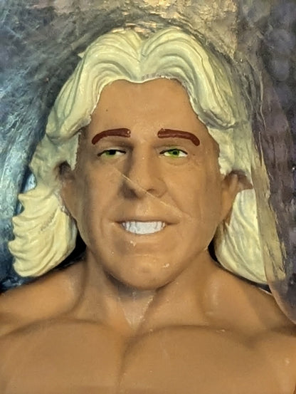 Four Horsemen (Ric Flair / Arne Anderson / Barry Windham  / Tully Blanchard)