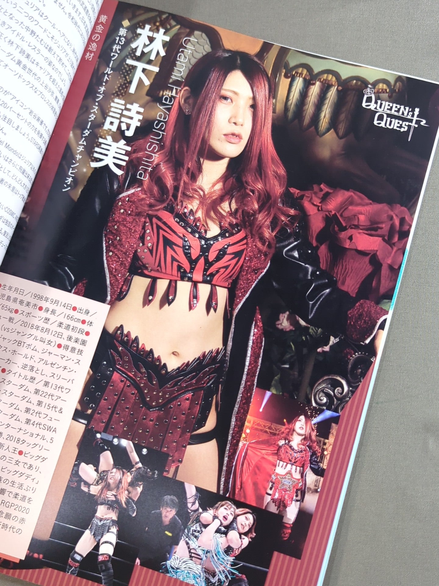 STARDOM OFFICIAL GUIDE BOOK Vol.135