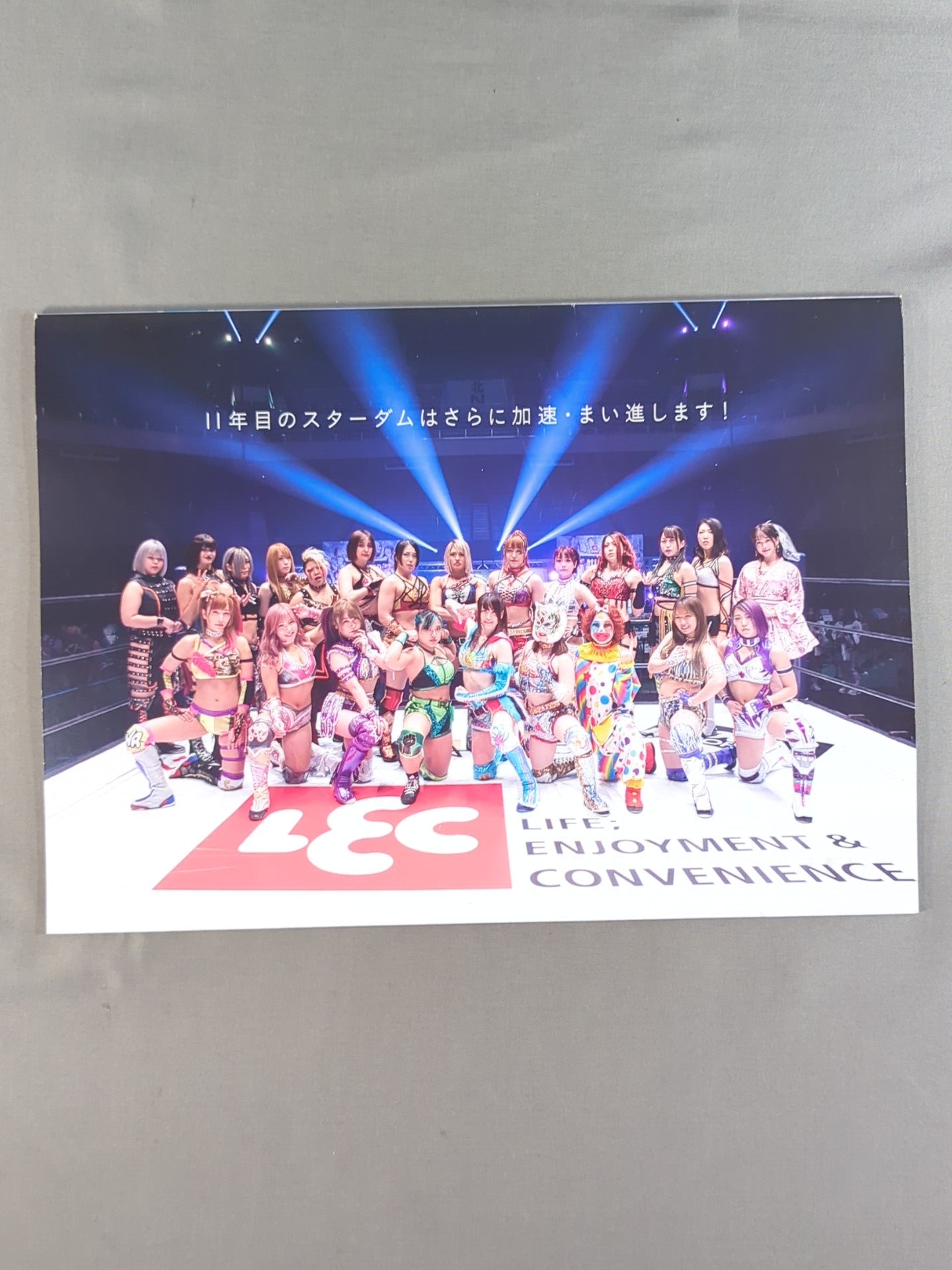 STARDOM OFFICIAL GUIDE BOOK Vol.135