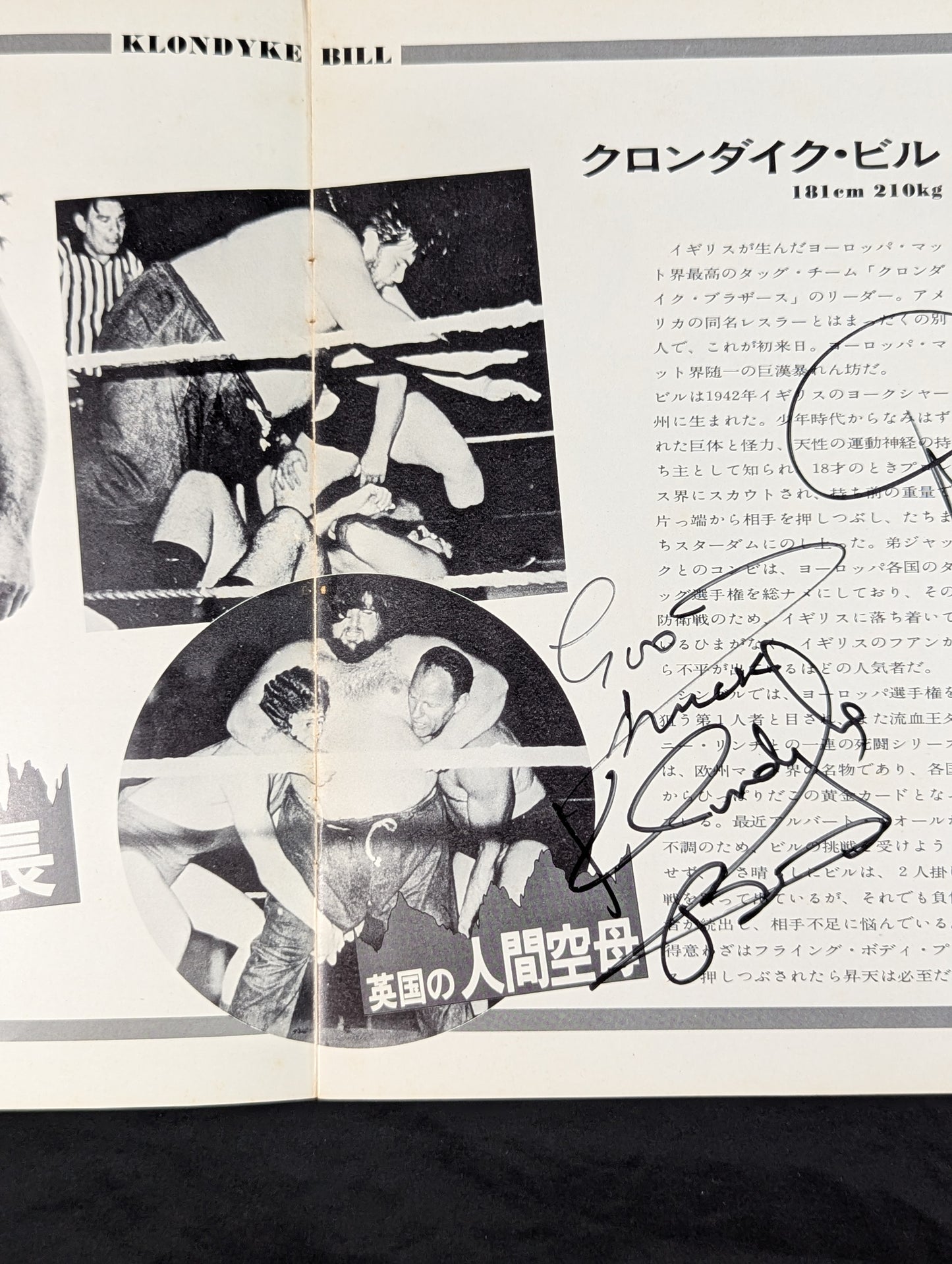 [20 hand signed autograph entries ・ Includes 8 photos】73 Big Winter Series