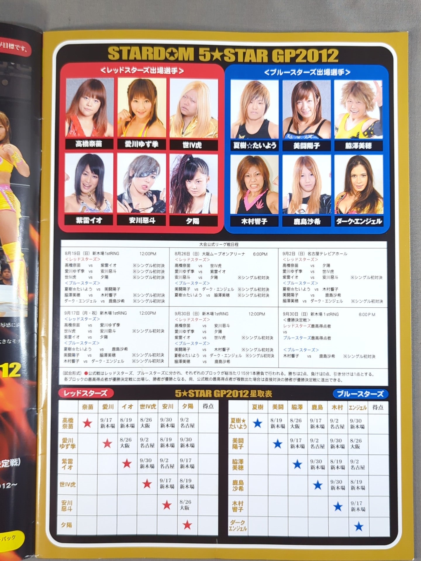 STARDOM OFFICIAL GUIDE BOOK Vol.20