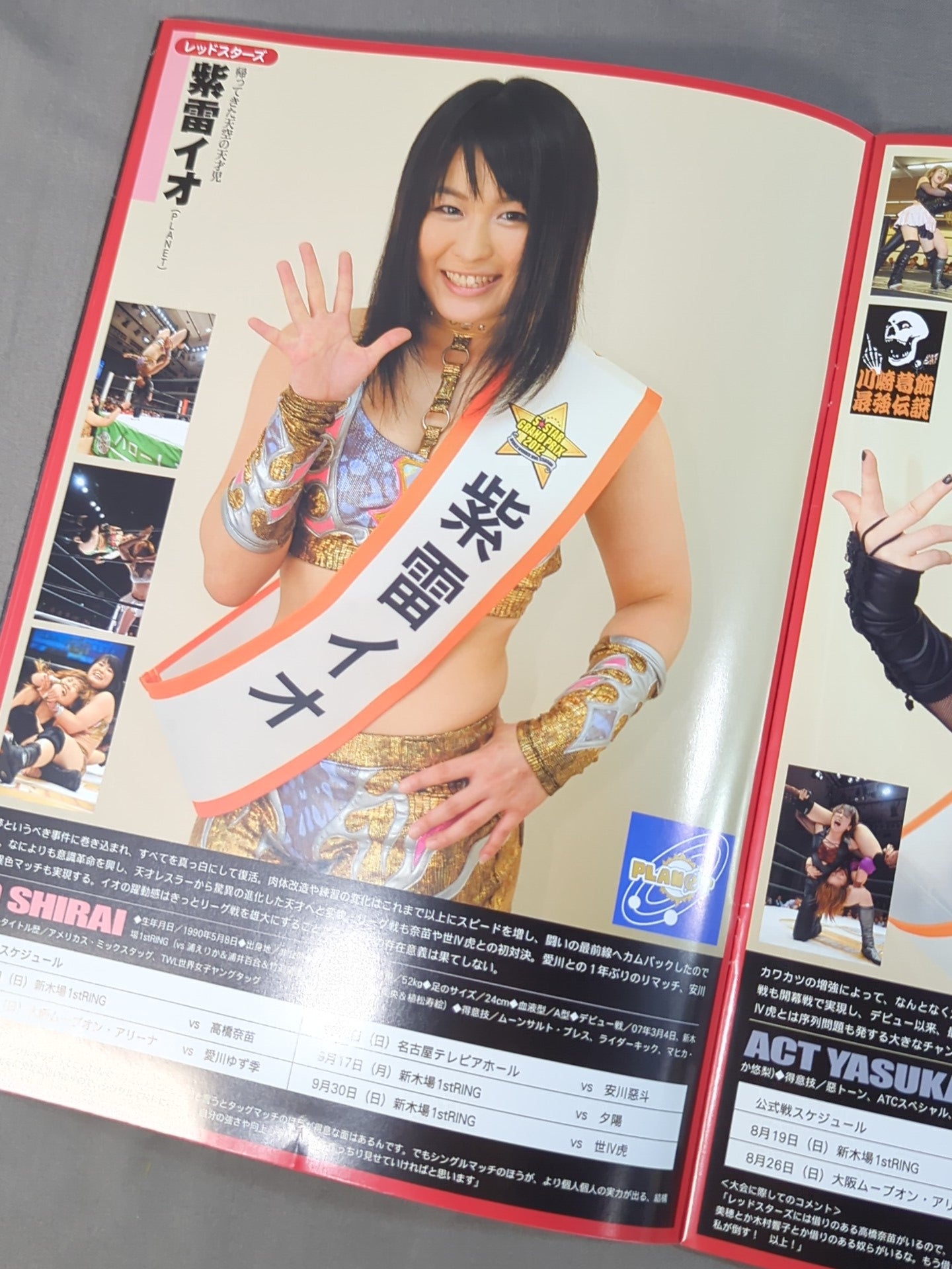 STARDOM OFFICIAL GUIDE BOOK Vol.20