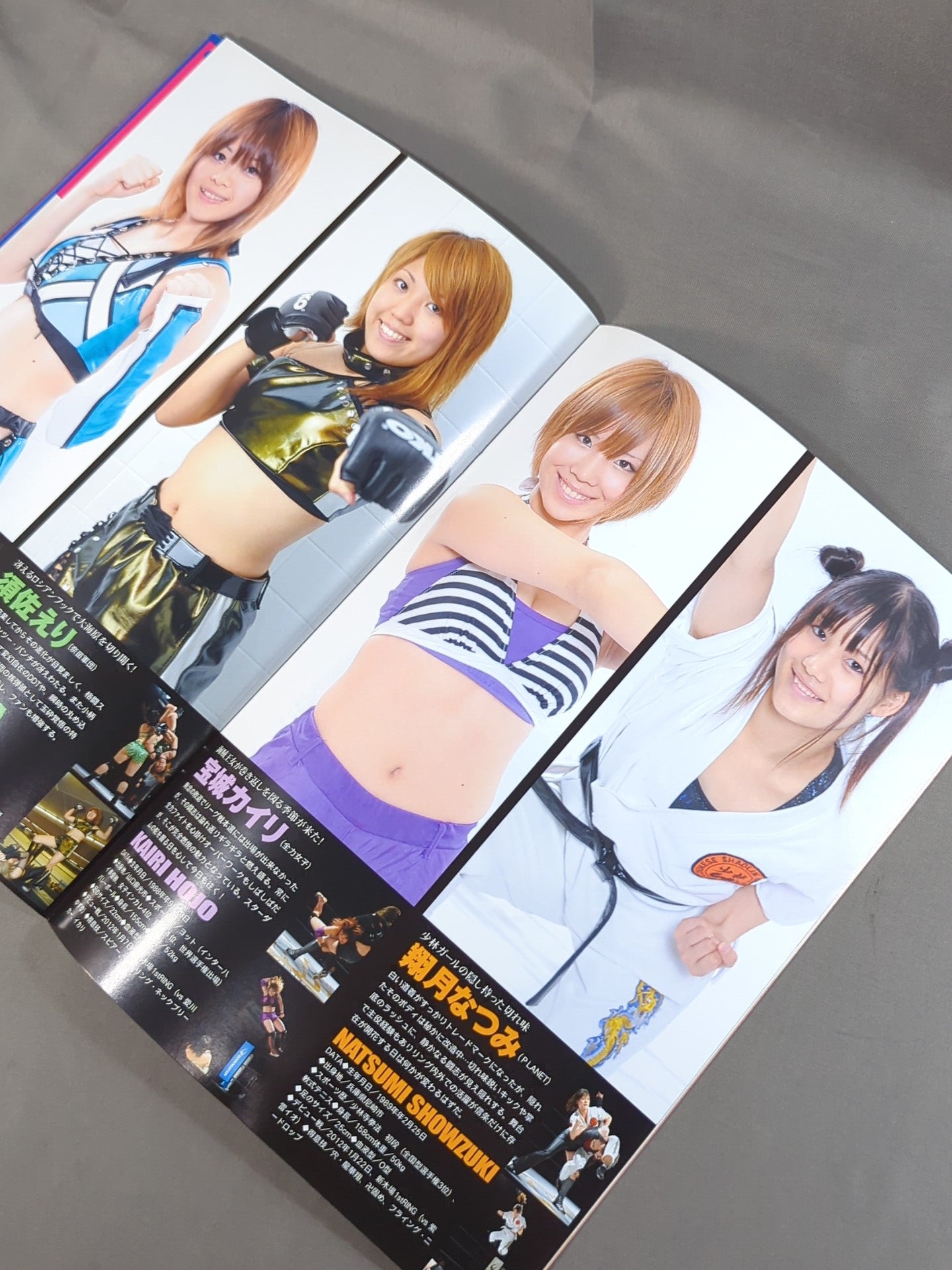 STARDOM OFFICIAL GUIDE BOOK Vol.20