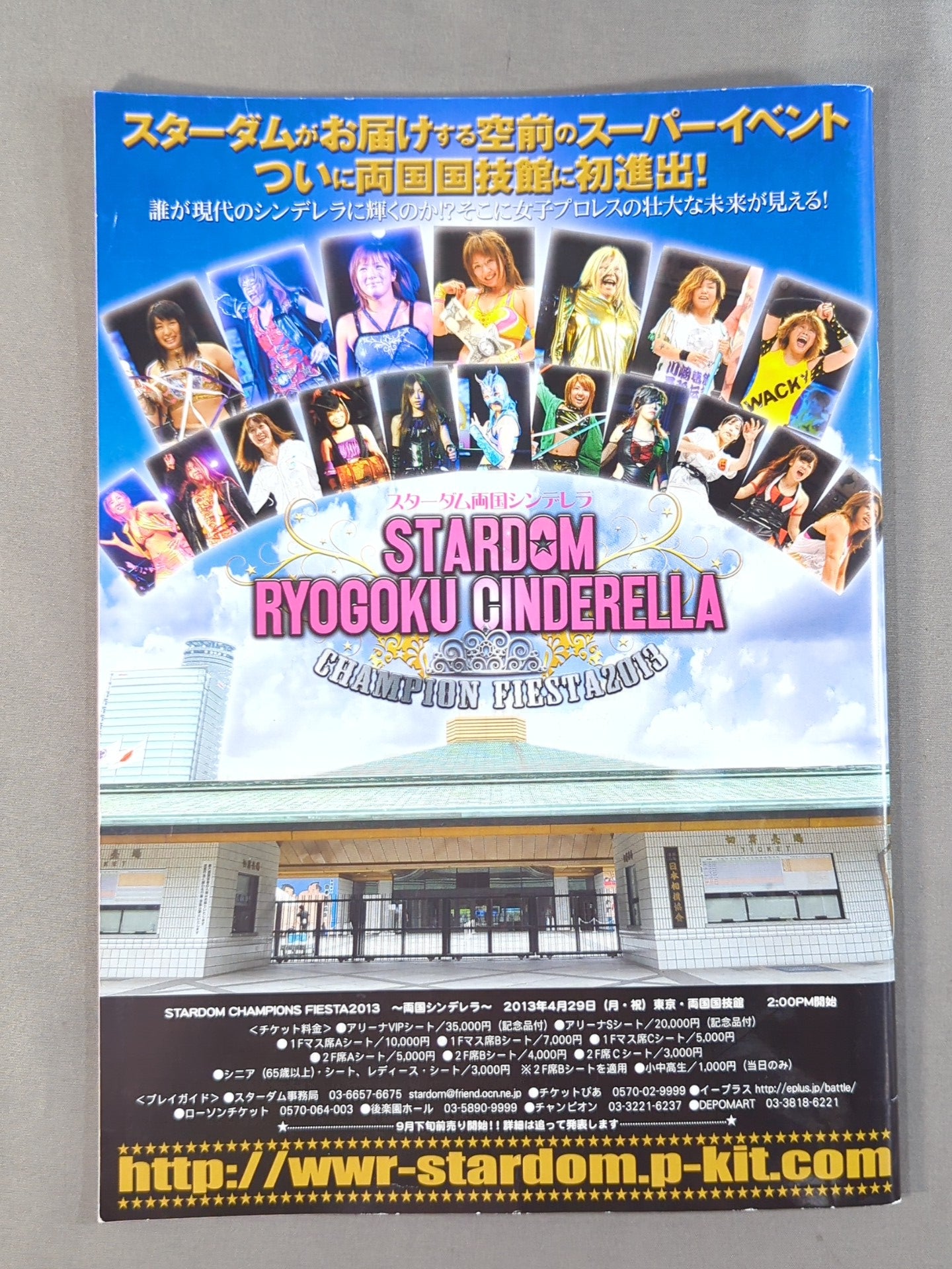 STARDOM OFFICIAL GUIDE BOOK Vol.20