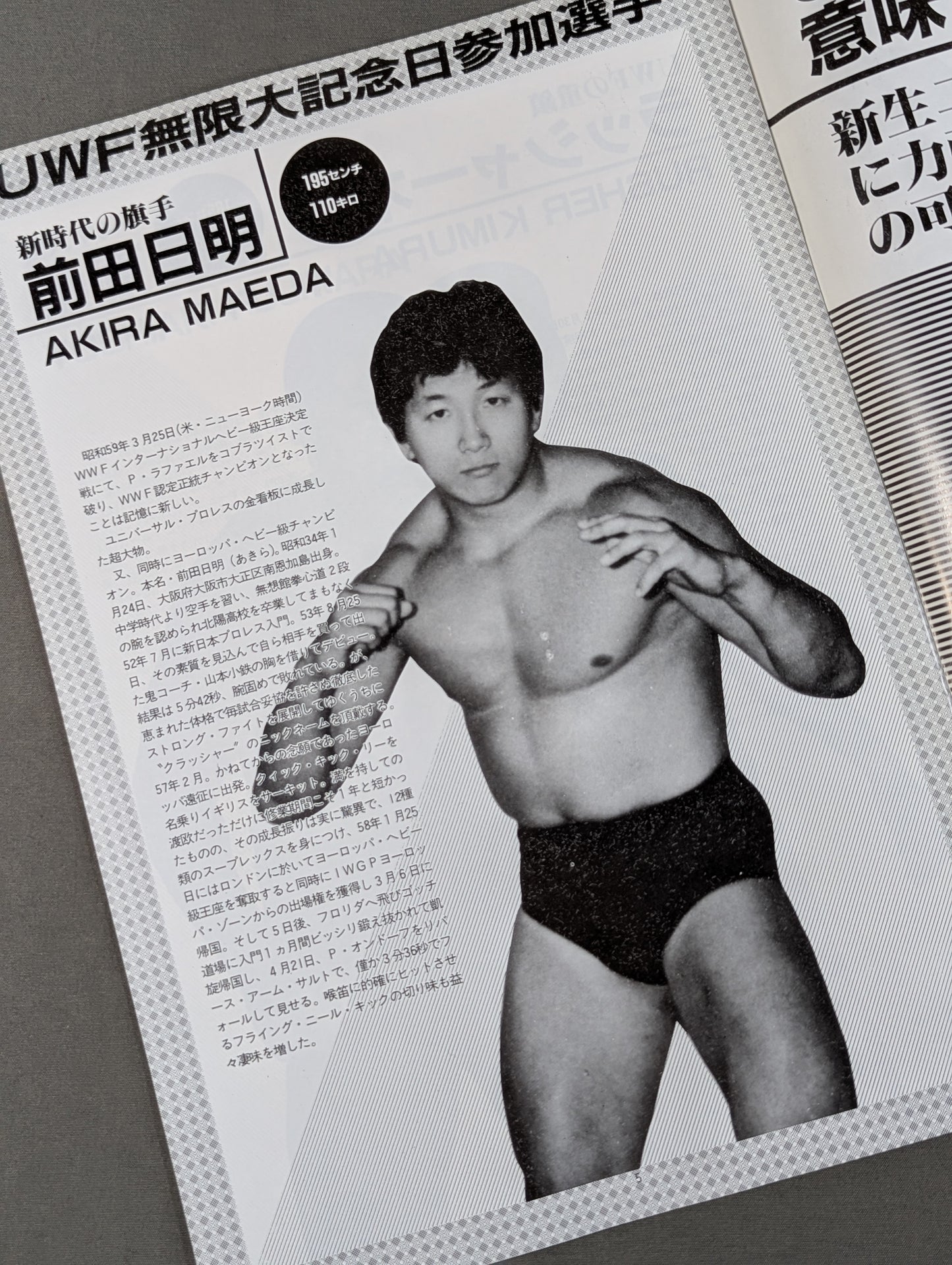 1st UWF / U.W.F. Infinity Anniversary Special Issue
