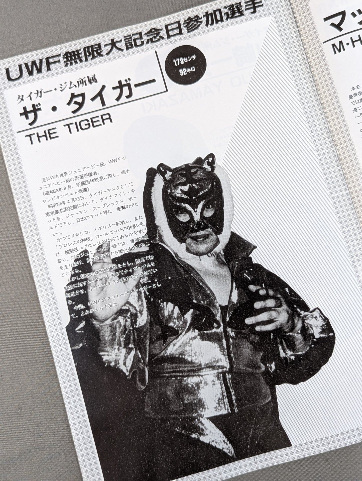 1st UWF / U.W.F. Infinity Anniversary Special Issue