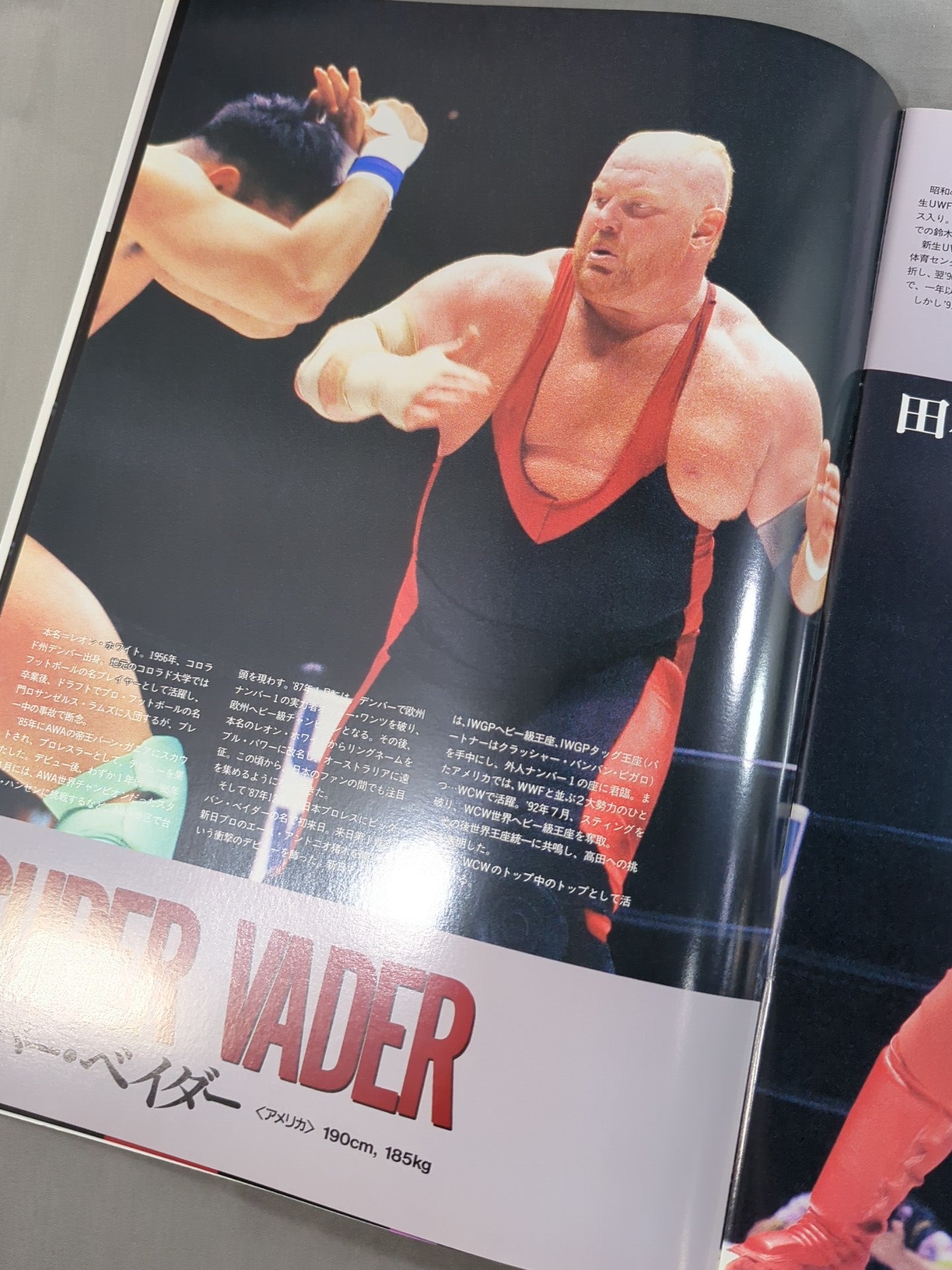 Uインター / 94PRO-WRESTLING WORLD TOURNAMENT 準決勝