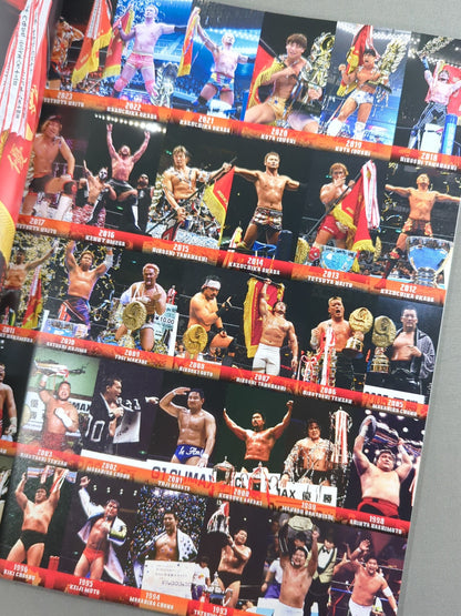 G1 CLIMAX 35 / G1クライマックス35