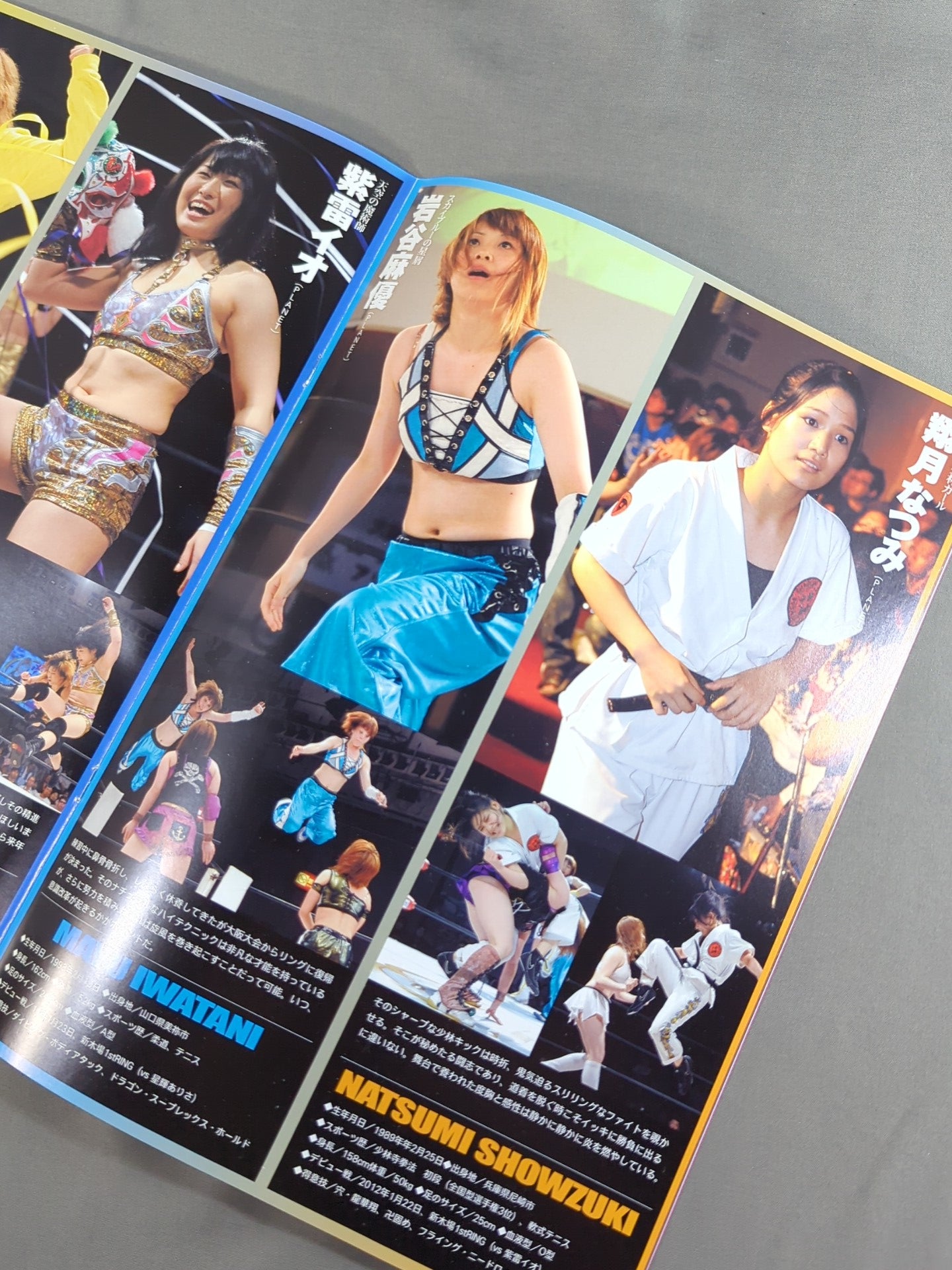 【2選手直筆サイン入り】STARDOM OFFICIAL GUIDE BOOK Vol.22