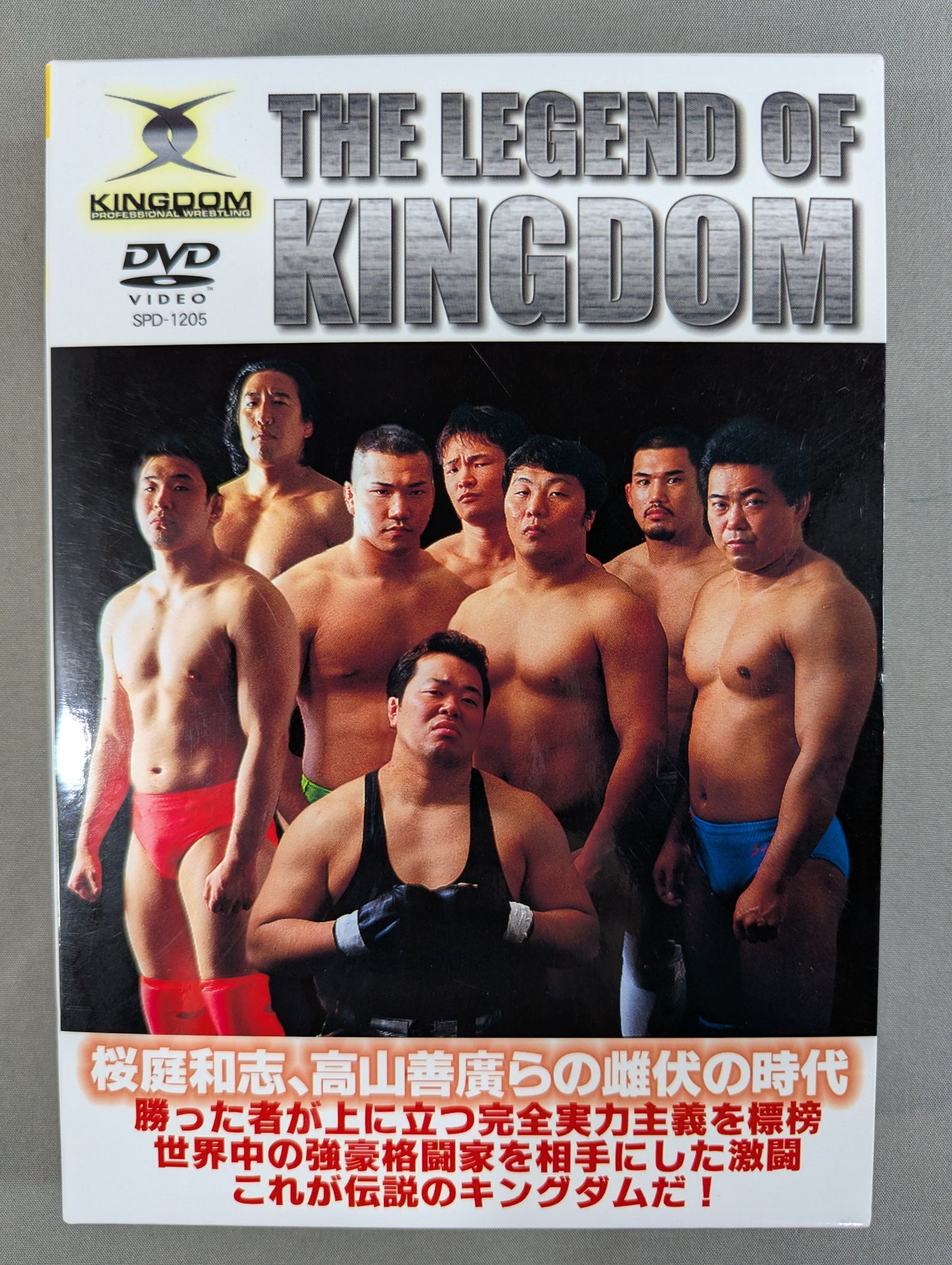 THE LEGEND OF KINGDOM