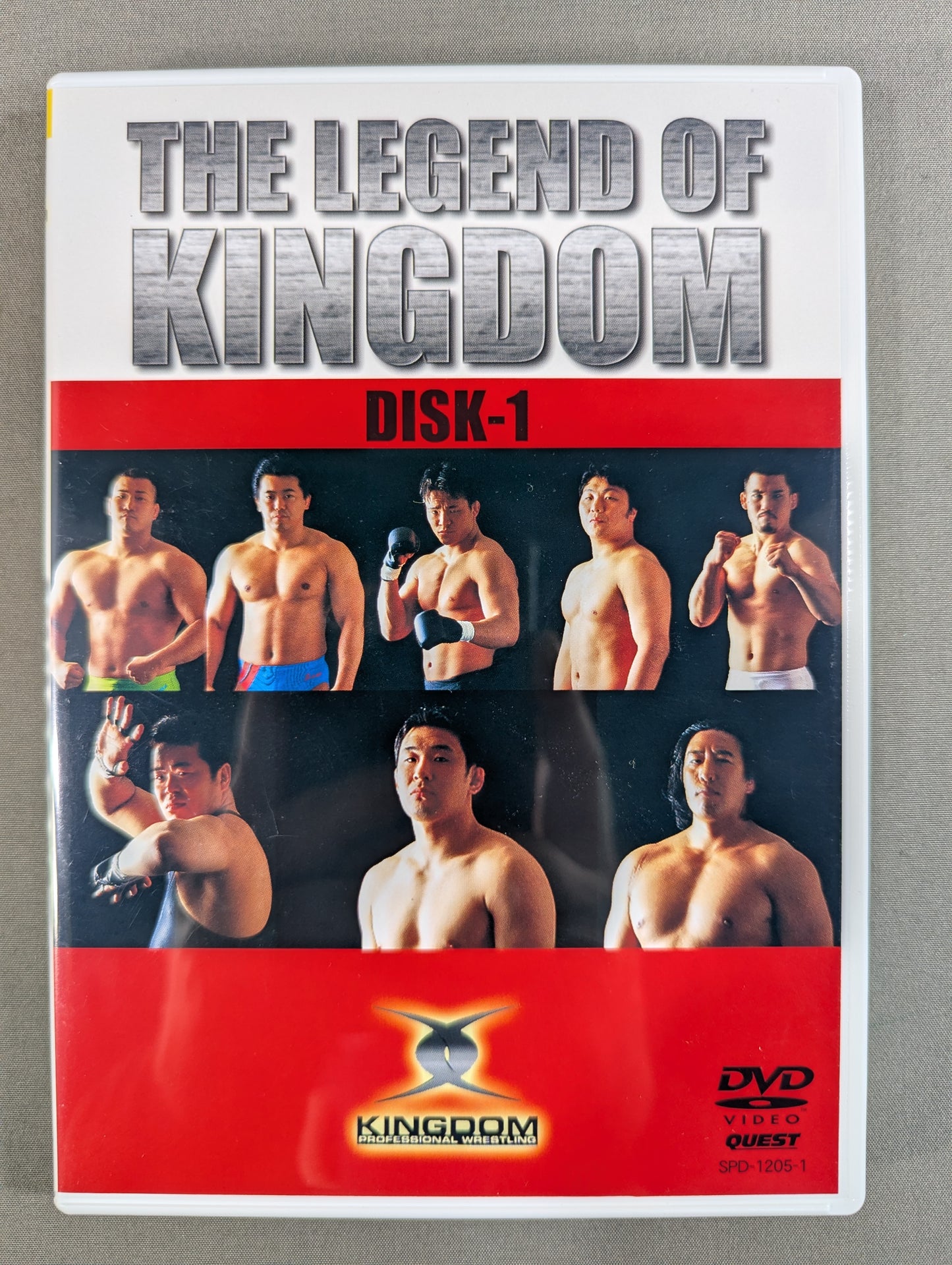 THE LEGEND OF KINGDOM