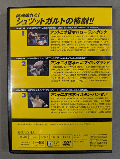Burn! New Japan Pro Wrestling  vol.26